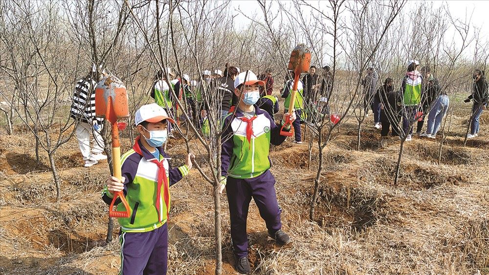 云顶集团集团有限公司内容图片展示